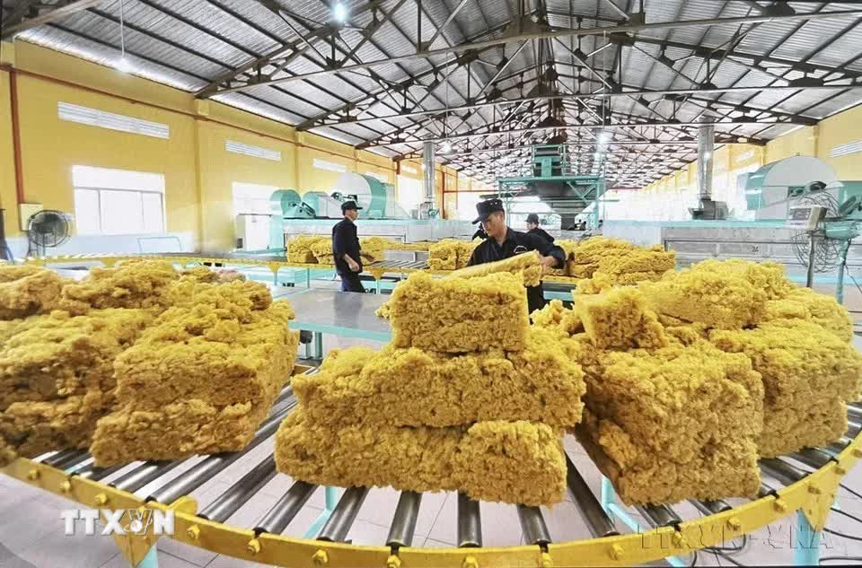 96 năm thành lập Đảng: Dân tộc Việt Nam vững bước vào kỷ nguyên phát triển mới- Ảnh 29.