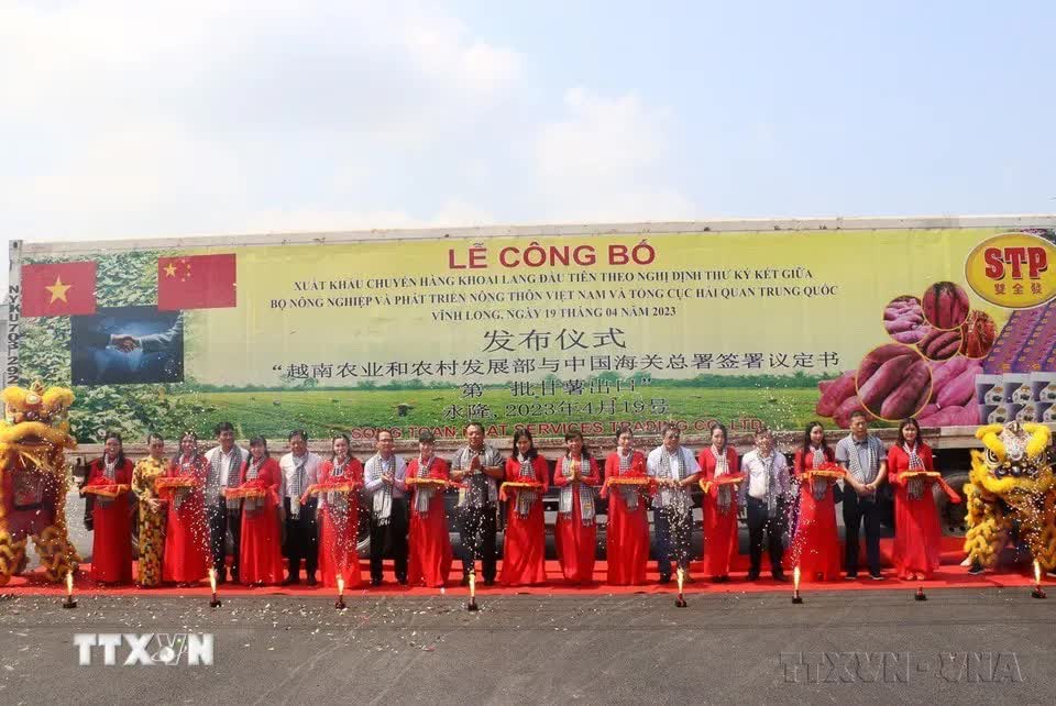 96 năm thành lập Đảng: Dân tộc Việt Nam vững bước vào kỷ nguyên phát triển mới- Ảnh 34.