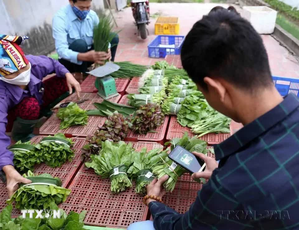 96 năm thành lập Đảng: Dân tộc Việt Nam vững bước vào kỷ nguyên phát triển mới- Ảnh 36.