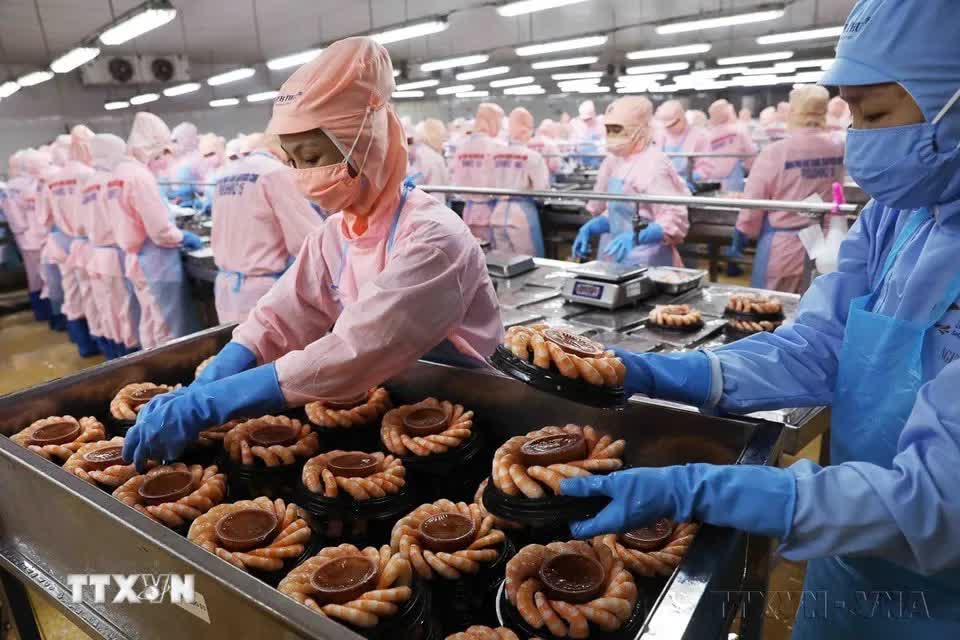 96 năm thành lập Đảng: Dân tộc Việt Nam vững bước vào kỷ nguyên phát triển mới- Ảnh 37.