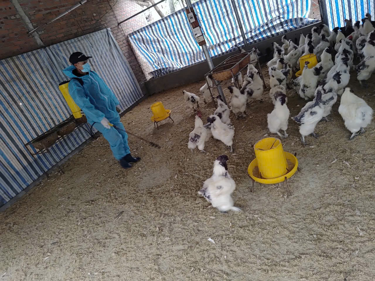 Tổng vệ sinh, khử trùng, tiêu độc môi trường phòng, chống  dịch bệnh gia súc, gia cầm đợt 1 dịp Tết nguyên đán Bính Ngọ  năm 2026- Ảnh 1.