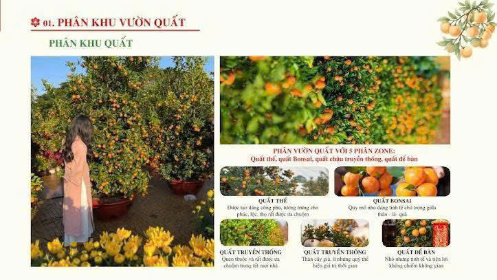 HỘI CHỢ XUÂN BÍNH NGỌ 2026 TẠI SÓC SƠN – ĐIỂM ĐẾN MUA SẮM, TRẢI NGHIỆM KHÔNG KHÍ TẾT TRUYỀN THỐNG- Ảnh 7.