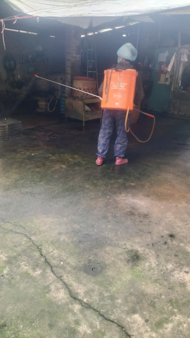 BÌNH MINH RA QUÂN TỔNG VỆ SINH, KHỬ TRÙNG MÔI TRƯỜNG PHÒNG, CHỐNG DỊCH BỆNH GIA SÚC, GIA CẦM ĐỢT 1 DỊP TẾT NGUYÊN ĐÁN BÍNH NGỌ 2026