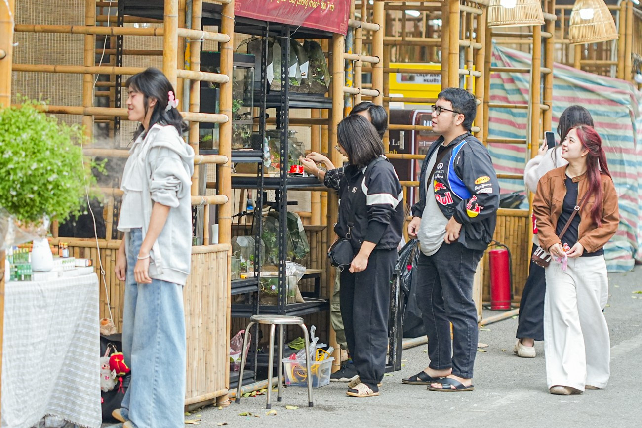 Chợ hoa Hàng Lược 'đánh thức' Tết Bính Ngọ giữa lòng phố cổ- Ảnh 4.