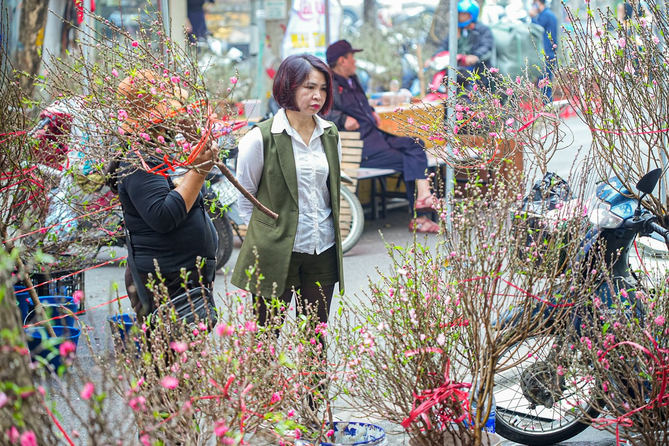 Chợ hoa Hàng Lược 'đánh thức' Tết Bính Ngọ giữa lòng phố cổ- Ảnh 18.