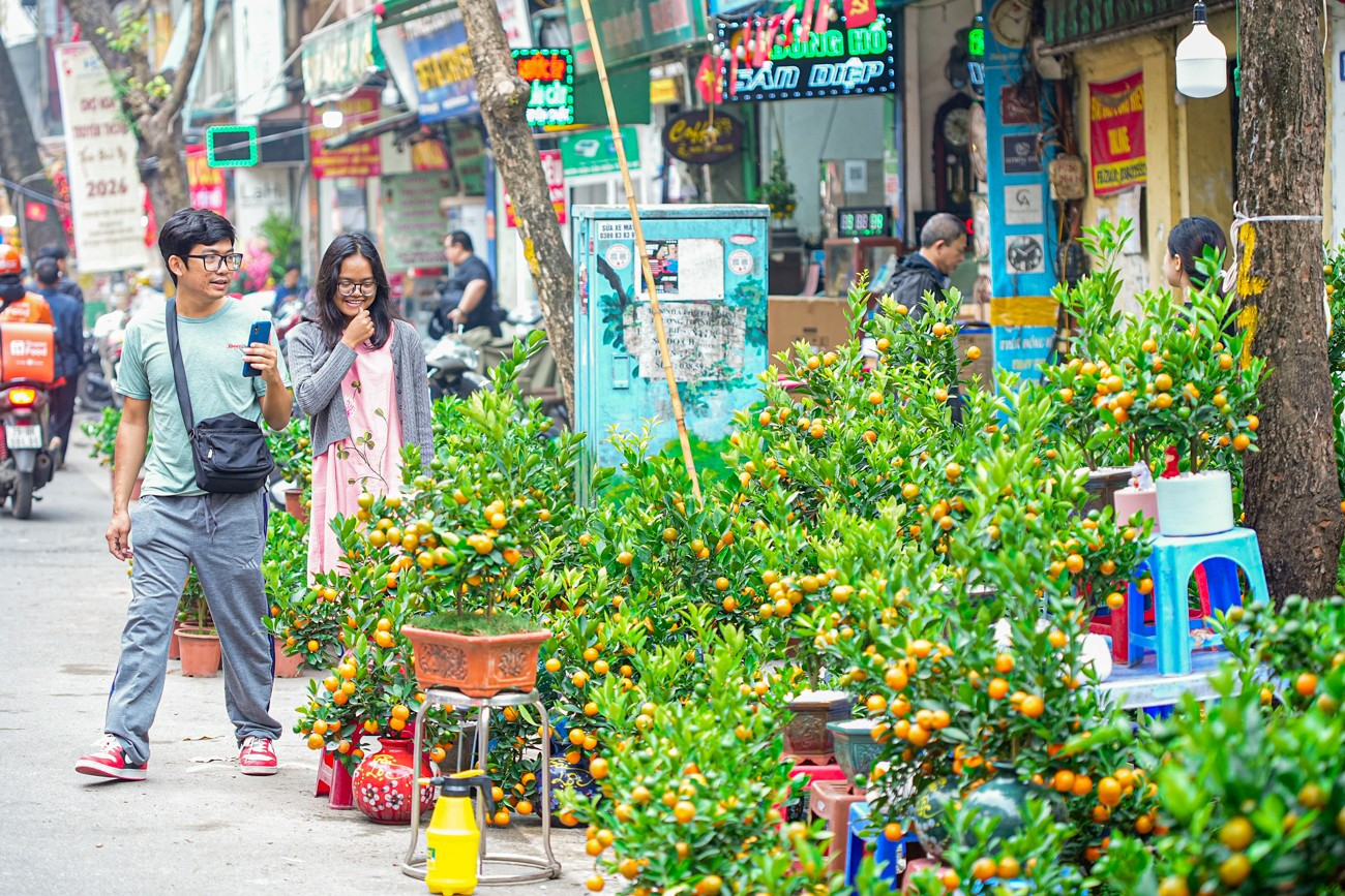 Chợ hoa Hàng Lược 'đánh thức' Tết Bính Ngọ giữa lòng phố cổ- Ảnh 15.