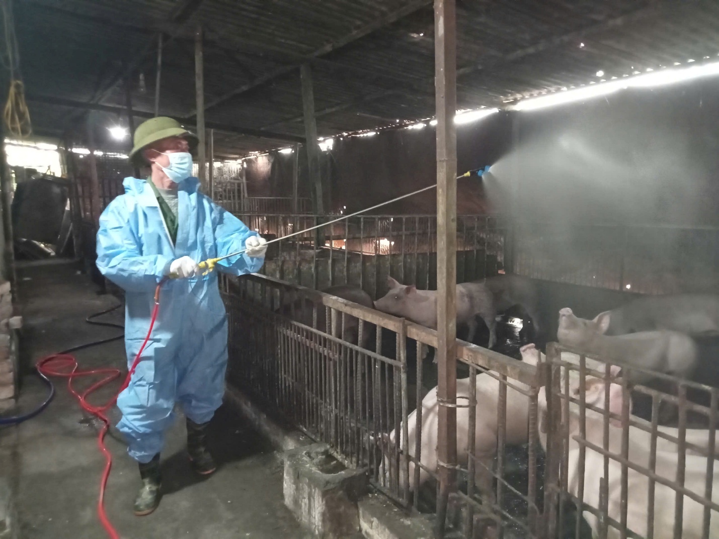 Xã Gia Lâm triển khai phun tiêu độc, khử trùng phòng chống dịch bệnh gia súc, gia cầm trước Tết Nguyên đán- Ảnh 3.