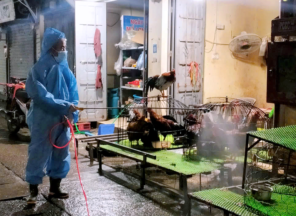 Xã Gia Lâm triển khai phun tiêu độc, khử trùng phòng chống dịch bệnh gia súc, gia cầm trước Tết Nguyên đán- Ảnh 4.