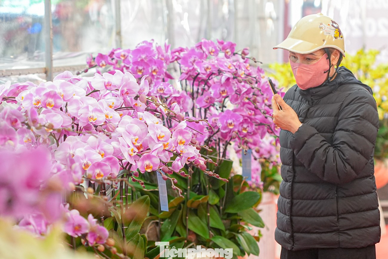 Chợ hoa Hàng Lược 'đánh thức' Tết Bính Ngọ giữa lòng phố cổ- Ảnh 13.