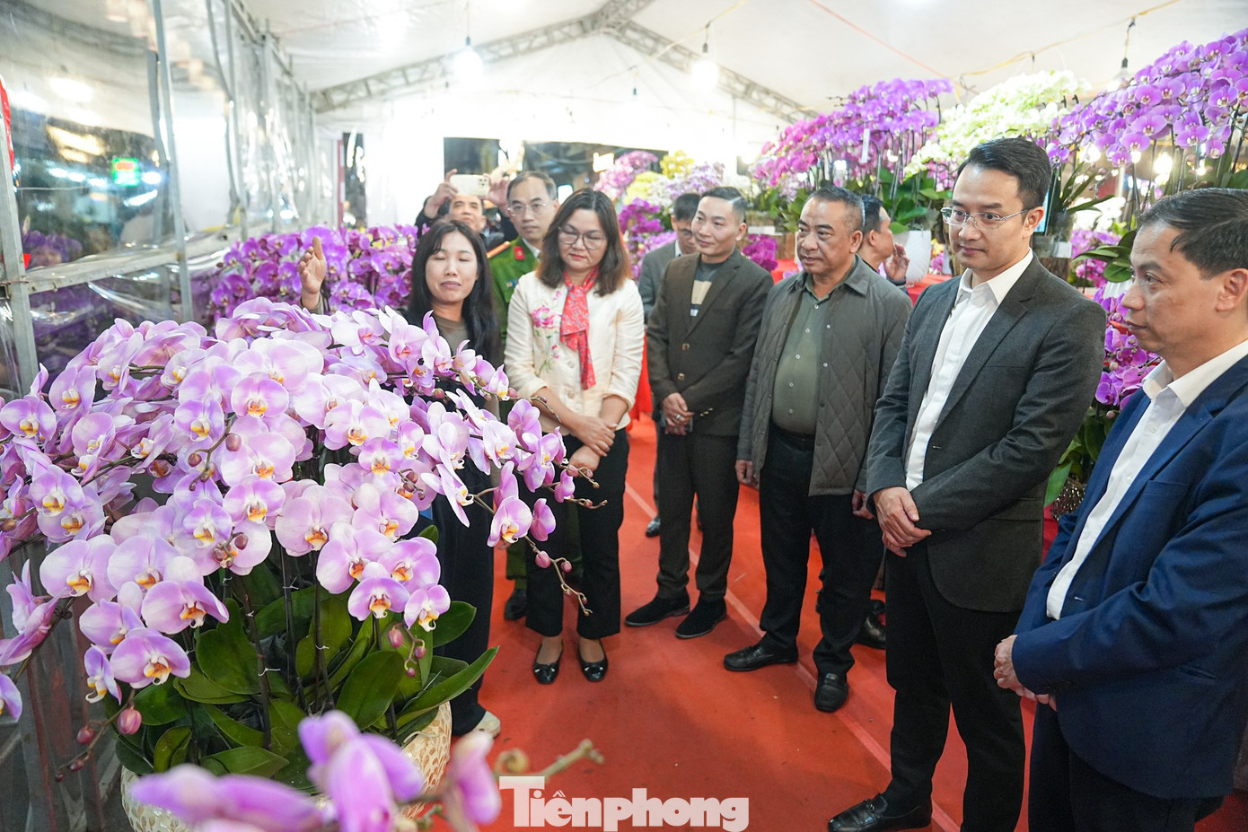 Khai mạc chợ hoa Hàng Lược: Phiên chợ trăm tuổi đón Tết Bính Ngọ- Ảnh 7.