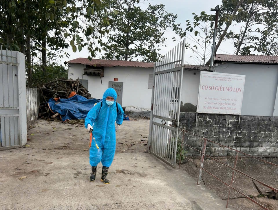 Phường Chương Mỹ tiếp tục thực hiện vệ sinh tiêu độc môi trường, đảm bảo an toàn cho ngành chăn nuôi- Ảnh 1.