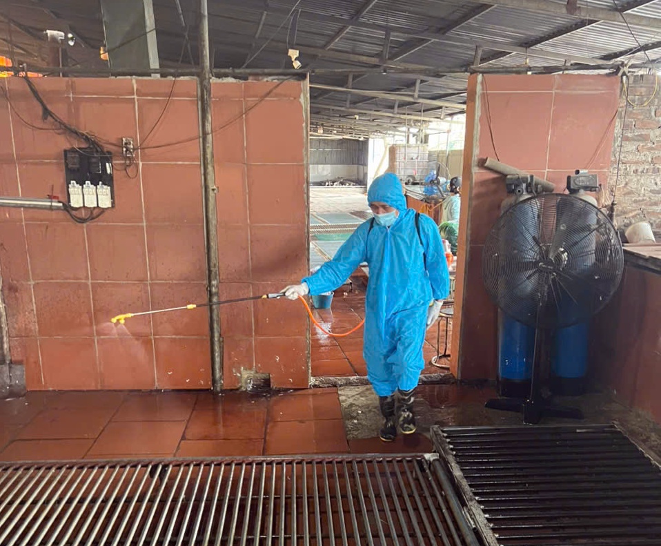 Phường Chương Mỹ tiếp tục thực hiện vệ sinh tiêu độc môi trường, đảm bảo an toàn cho ngành chăn nuôi- Ảnh 4.