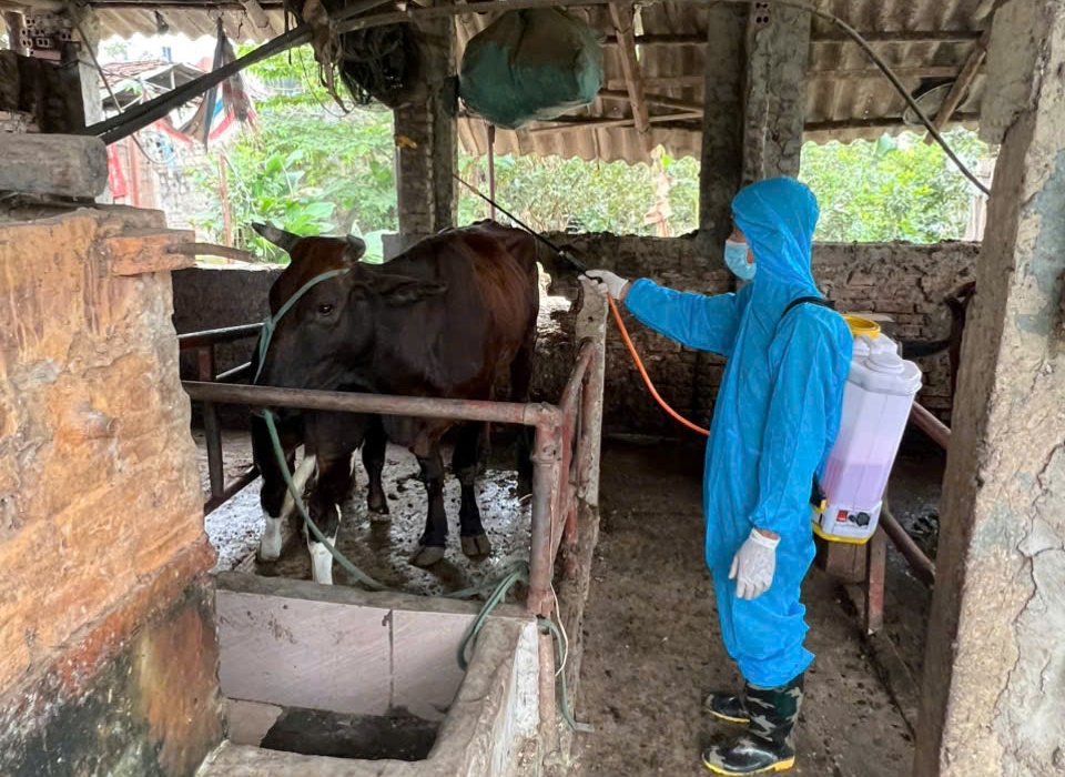 Phường Chương Mỹ tiếp tục thực hiện vệ sinh tiêu độc môi trường, đảm bảo an toàn cho ngành chăn nuôi- Ảnh 7.