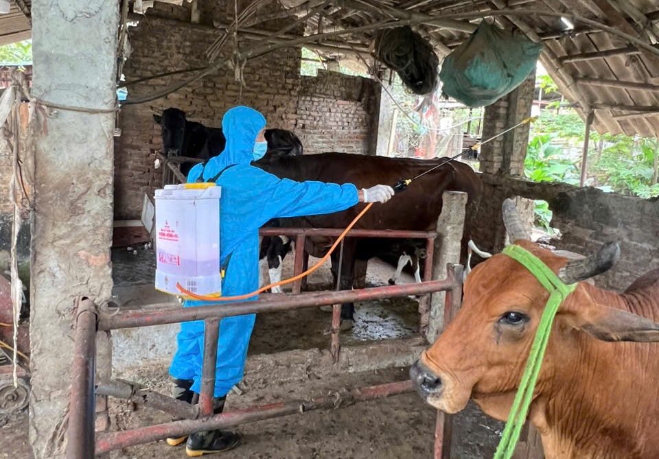 Phường Chương Mỹ tiếp tục thực hiện vệ sinh tiêu độc môi trường, đảm bảo an toàn cho ngành chăn nuôi- Ảnh 8.