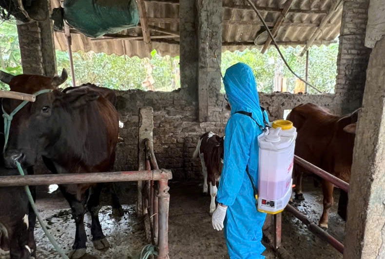 Phường Chương Mỹ tiếp tục thực hiện vệ sinh tiêu độc môi trường, đảm bảo an toàn cho ngành chăn nuôi- Ảnh 10.