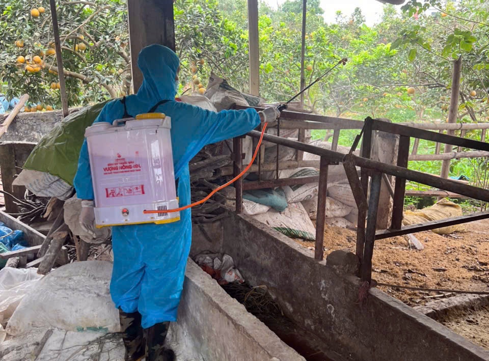 Phường Chương Mỹ tiếp tục thực hiện vệ sinh tiêu độc môi trường, đảm bảo an toàn cho ngành chăn nuôi- Ảnh 16.