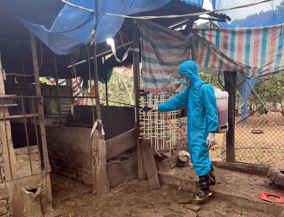 Phường Chương Mỹ tiếp tục thực hiện vệ sinh tiêu độc môi trường, đảm bảo an toàn cho ngành chăn nuôi- Ảnh 18.