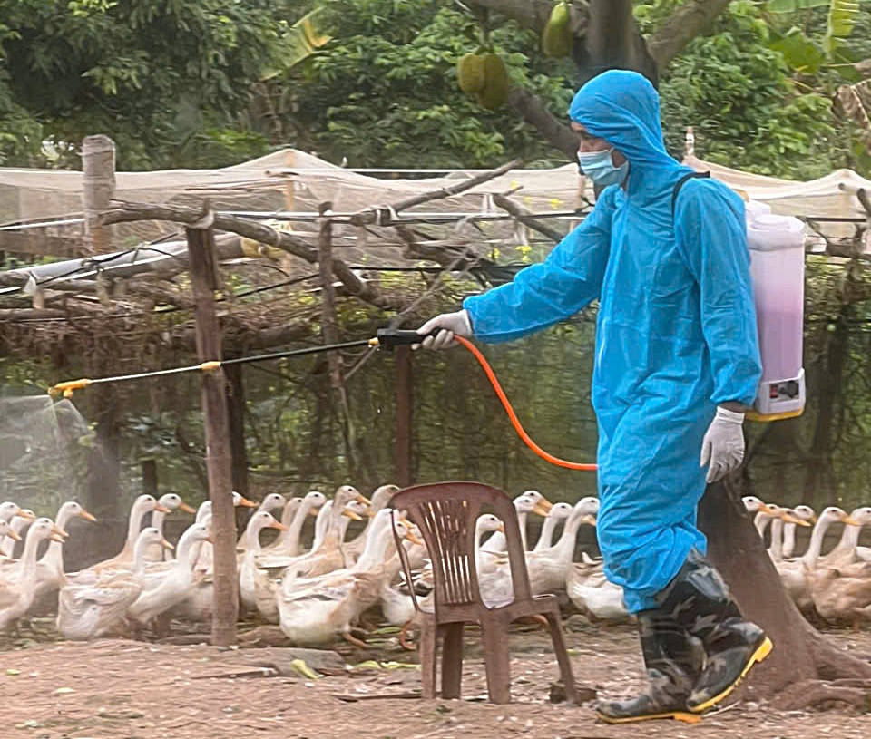 Phường Chương Mỹ tiếp tục thực hiện vệ sinh tiêu độc môi trường, đảm bảo an toàn cho ngành chăn nuôi- Ảnh 19.