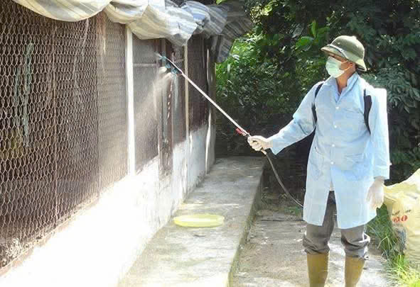 D:\kho\truyền thanh huyện\2026\vệ sinh tiêu độc\z7496504391443_2e4493232c08adb7f936524699254e76.jpg