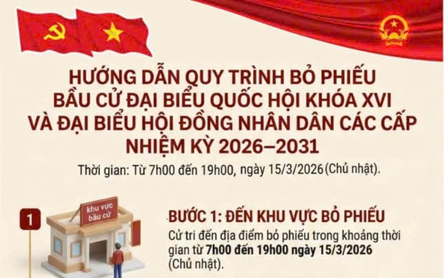 HƯỚNG DẪN QUY TRÌNH BỎ PHIẾU