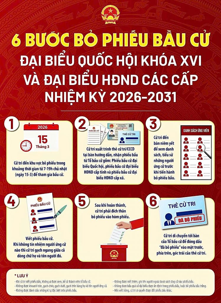 Quy trình 6 bước bỏ phiếu bầu cử- Ảnh 2.