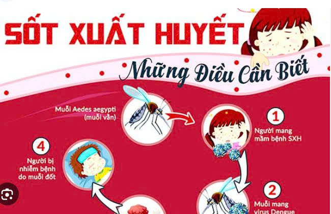 BÀI TUYÊN TRUYỀN: Về việc tổng vệ sinh môi trường, diệt bọ gậy, diệt muỗi phòng chống bệnh sốt xuất huyết năm 2026- Ảnh 1.