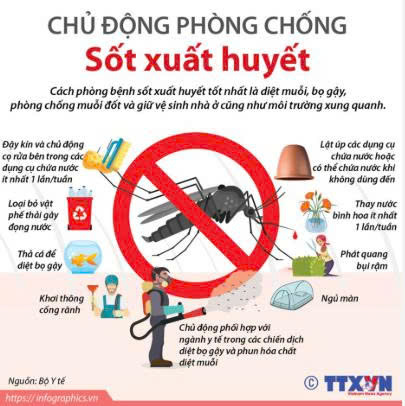 BÀI TUYÊN TRUYỀN: Về việc tổng vệ sinh môi trường, diệt bọ gậy, diệt muỗi phòng chống bệnh sốt xuất huyết năm 2026- Ảnh 2.