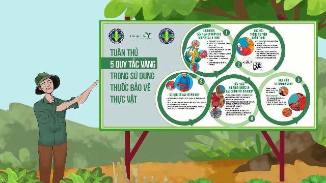 Hướng dẫn sử dụng phân bón và thuốc BVTV trong sản xuất Rau an toàn.

- Ảnh 1.