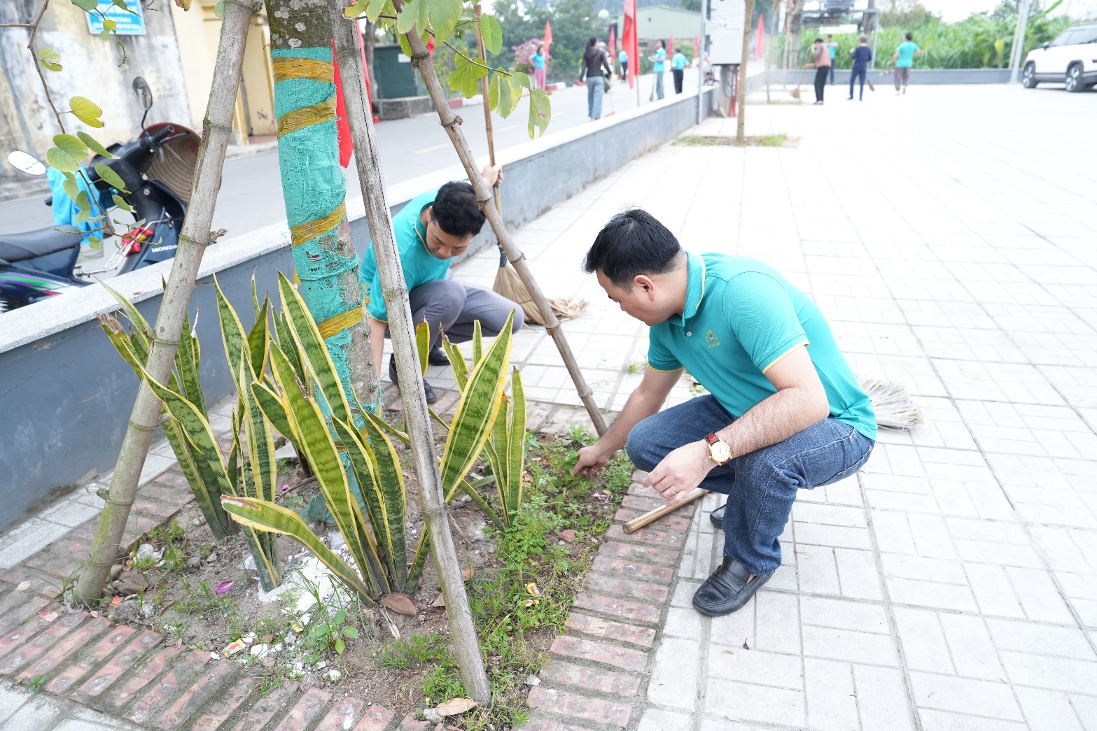 A person in a blue shirt kneeling next to a tree  AI-generated content may be incorrect.