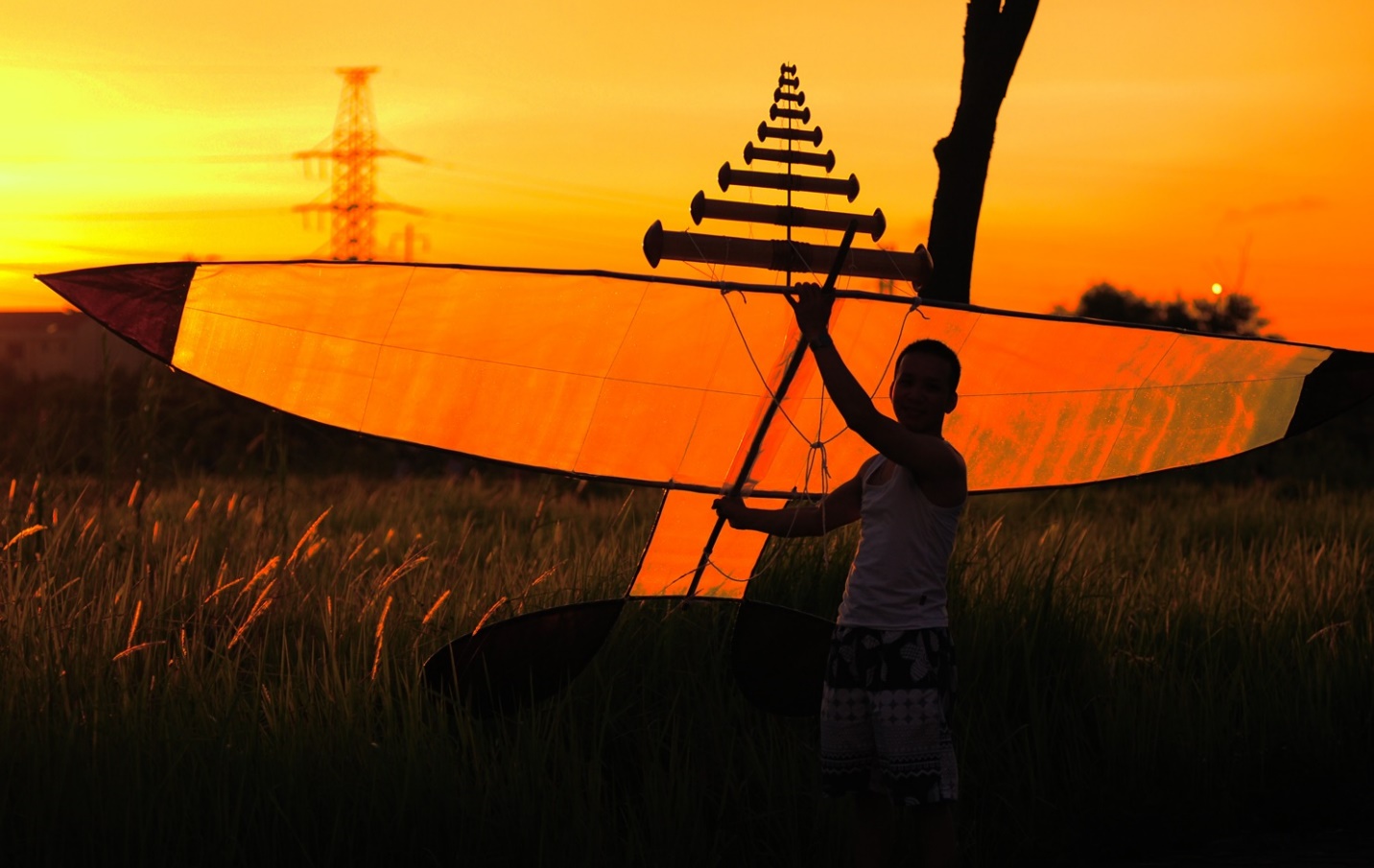 Hoài Đức siết chặt quản lý thả diều sáo, quyết tâm xử lý ô nhiễm tiếng ồn trong khung giờ nghỉ ngơi- Ảnh 1.