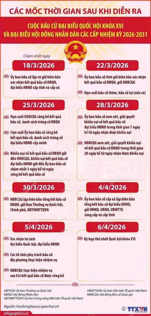 CÁC MỐC THỜI GIAN SAU BẦU CỬ- Ảnh 1.