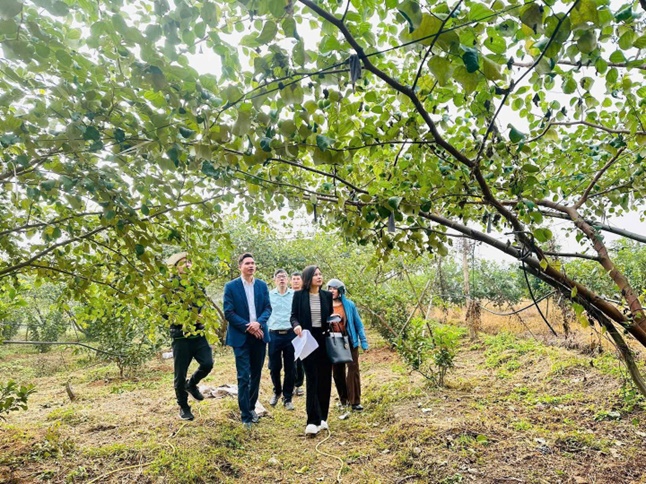 Hoài Đức quyết tâm thực hiện thắng lợi Nghị quyết Đại hội đại biểu Đảng bộ thành phố Hà Nội lần thứ XVIII, nhiệm kỳ 2025 - 2030.- Ảnh 4.