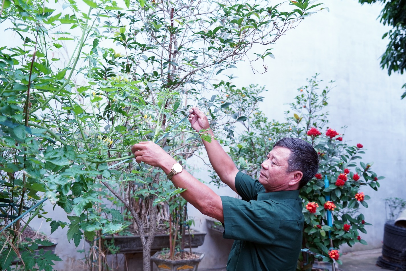 Người “ăn cơm nhà vác tù và hàng tổng”- Ảnh 1.