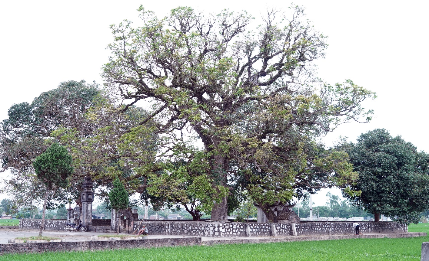 Người “ăn cơm nhà vác tù và hàng tổng”- Ảnh 2.