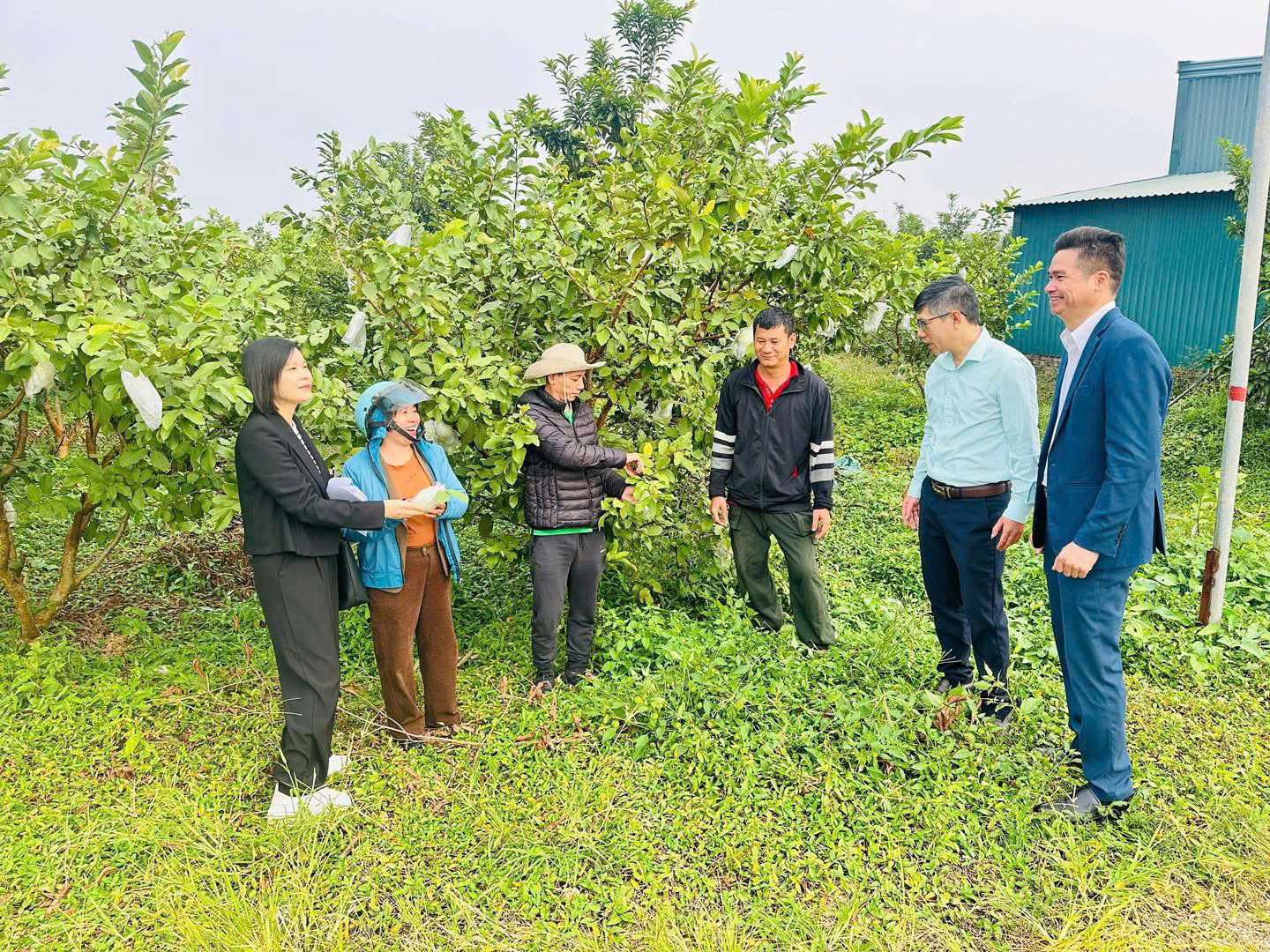 Hoài Đức quyết tâm thực hiện thắng lợi Nghị quyết Đại hội đại biểu Đảng bộ thành phố Hà Nội lần thứ XVIII, nhiệm kỳ 2025 - 2030.- Ảnh 3.