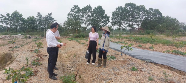 Hội Nông dân Thành phố Hà Nội thẩm định dự án vay vốn Quỹ Hỗ trợ nông dân tại xã Hoài Đức- Ảnh 3.