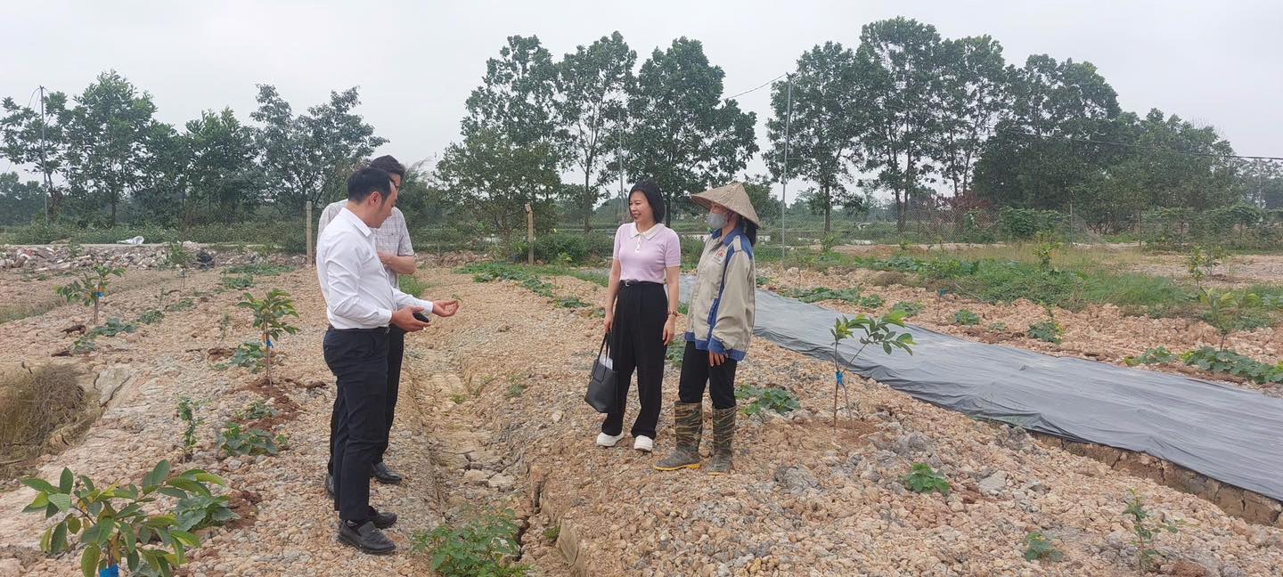 Hội Nông dân Thành phố Hà Nội thẩm định dự án vay vốn Quỹ Hỗ trợ nông dân tại xã Hoài Đức- Ảnh 2.