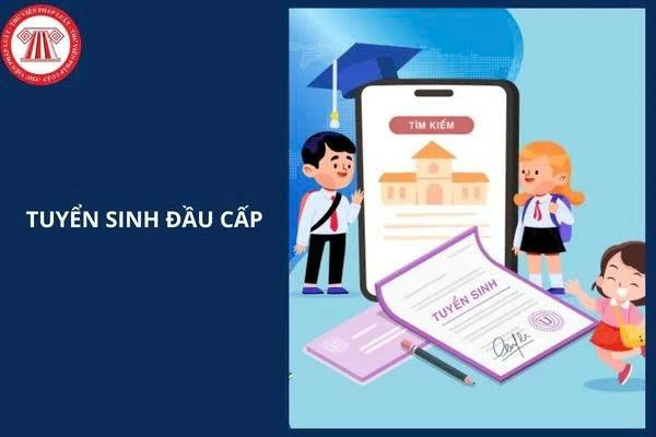 Phương Liệt: Triển khai rà soát dữ liệu, chuẩn bị cho kỳ tuyển sinh đầu cấp 2026-2027- Ảnh 1.