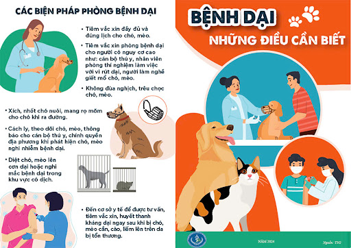 Bệnh Dại và các biện pháp phòng, chống dịch bệnh- Ảnh 1.