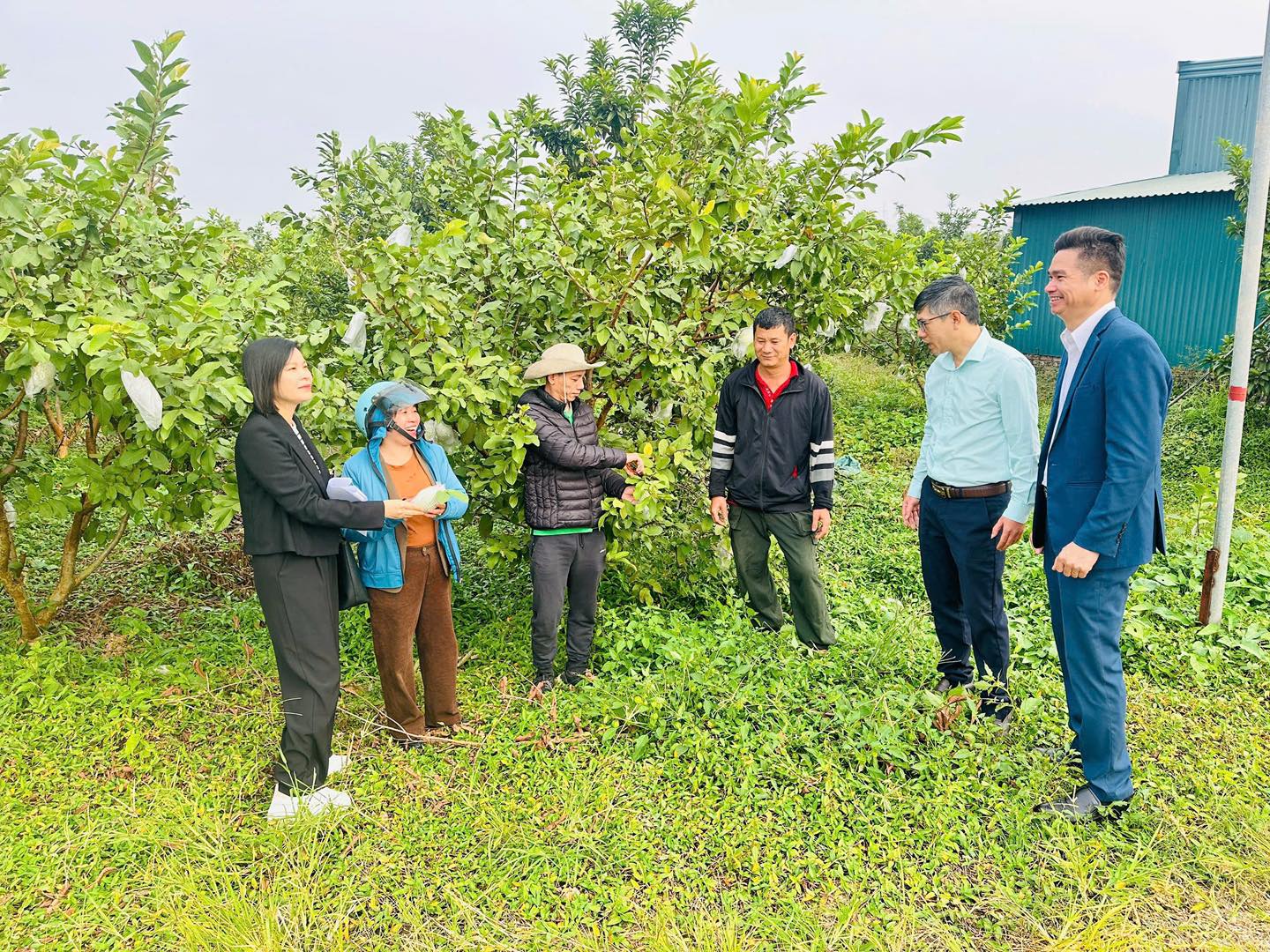 Hội nông dân xã Hoài Đức: Khơi dậy nội lực, đồng hành cùng khát vọng nông thôn hiện đại- Ảnh 4.