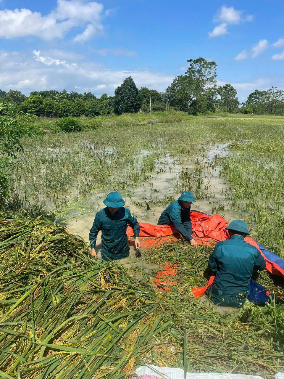 Lịch sử hình thành và phát triển của Dân quân tự vệ- Ảnh 1.