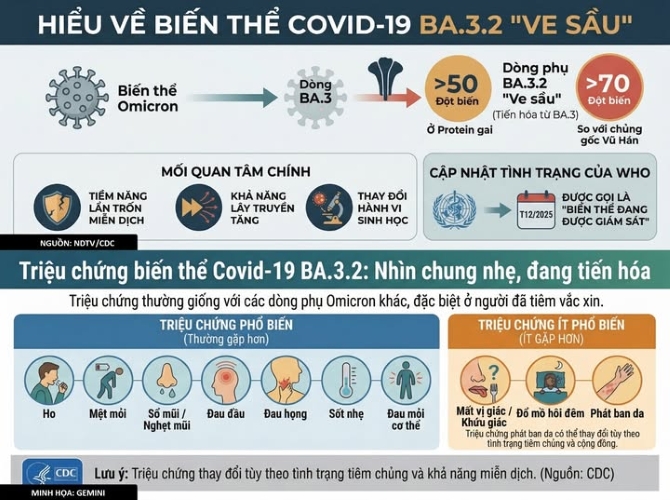 Người dân không hoang mang, chủ quan với biến thể COVID-19 mới BA.3.2- Ảnh 1.