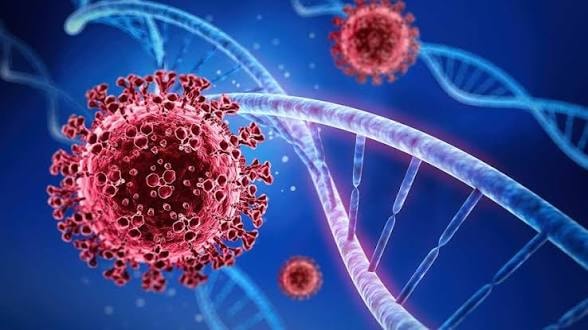 Bộ Y tế theo dõi sát biến thể SARS-CoV-2 BA.3.2, sẵn sàng ứng phó- Ảnh 1.