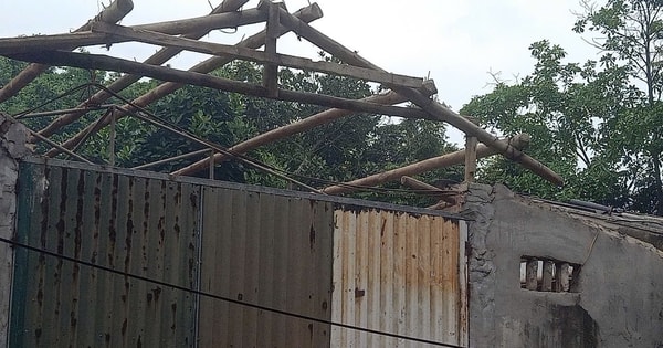 Không có vùng cấm: Từ điểm nóng đất bãi đến quyết tâm xử lý dứt điểm tại phường Lĩnh Nam