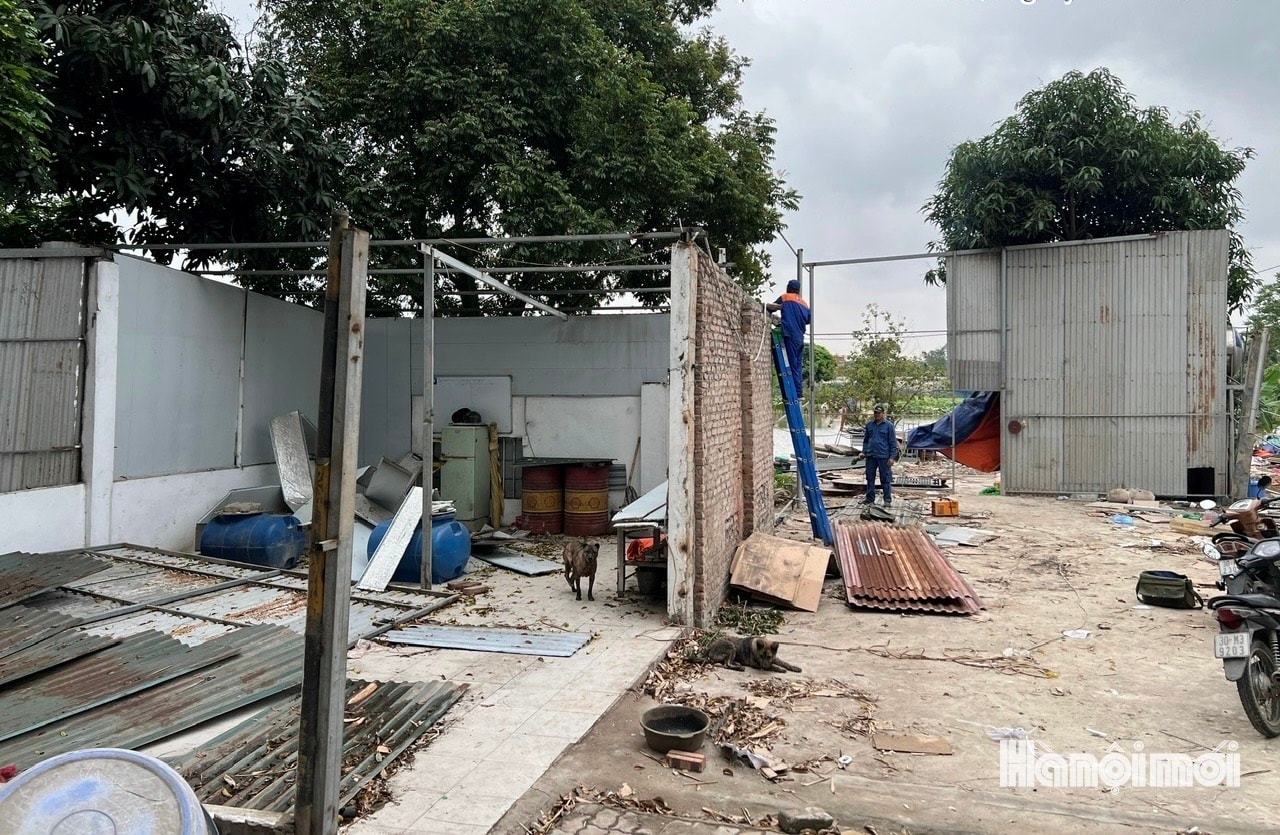 Không có vùng cấm: Từ điểm nóng đất bãi đến quyết tâm xử lý dứt điểm tại phường Lĩnh Nam- Ảnh 2.