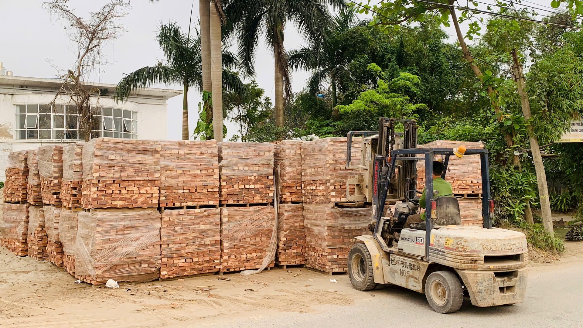 Phường Tây Tựu thực hiện cưỡng chế đối với 3 trường hợp vi phạm trong lĩnh vực đất đai- Ảnh 2.