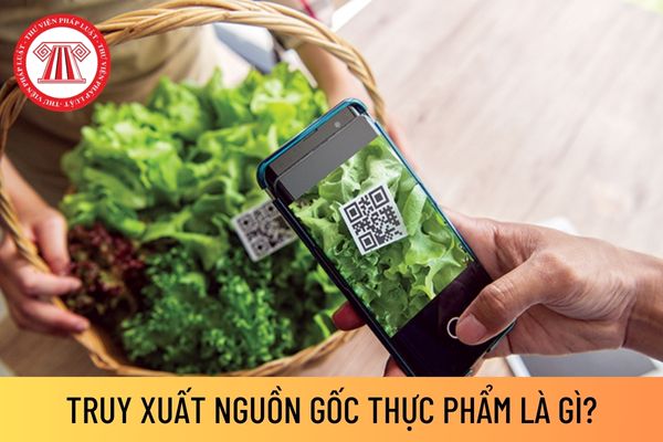 Mỗi người dân cần mua bán và sử dụng thực phẩm rõ nguồn gốc- Ảnh 1.