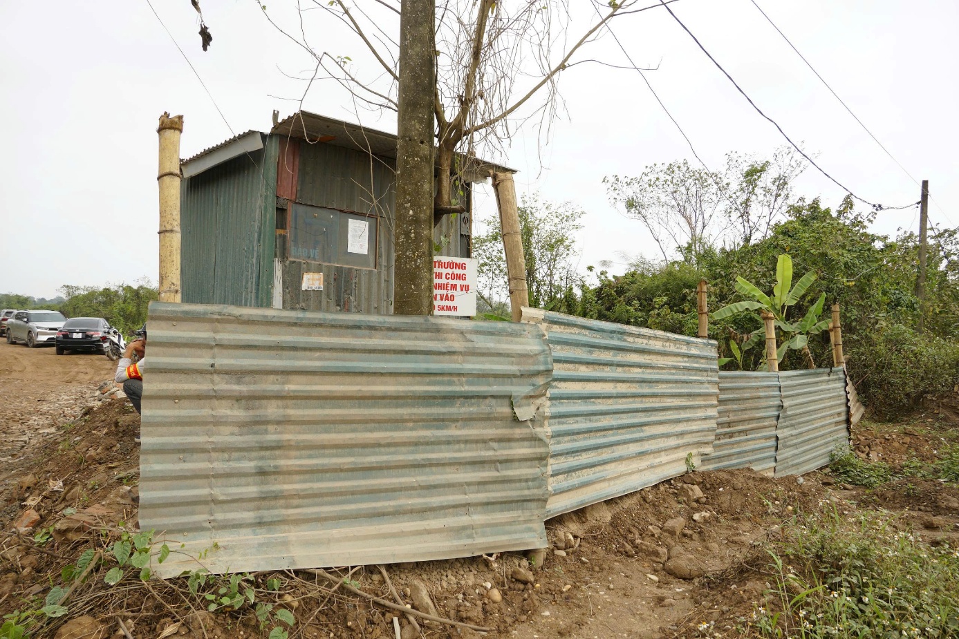 PHƯỜNG THƯỢNG CÁT QUYẾT LIỆT TRIỂN KHAI XỬ LÝ VI PHẠM PHÁP LUẬT VỀ ĐÊ ĐIỀU TRÊN ĐỊA BÀN- Ảnh 2.