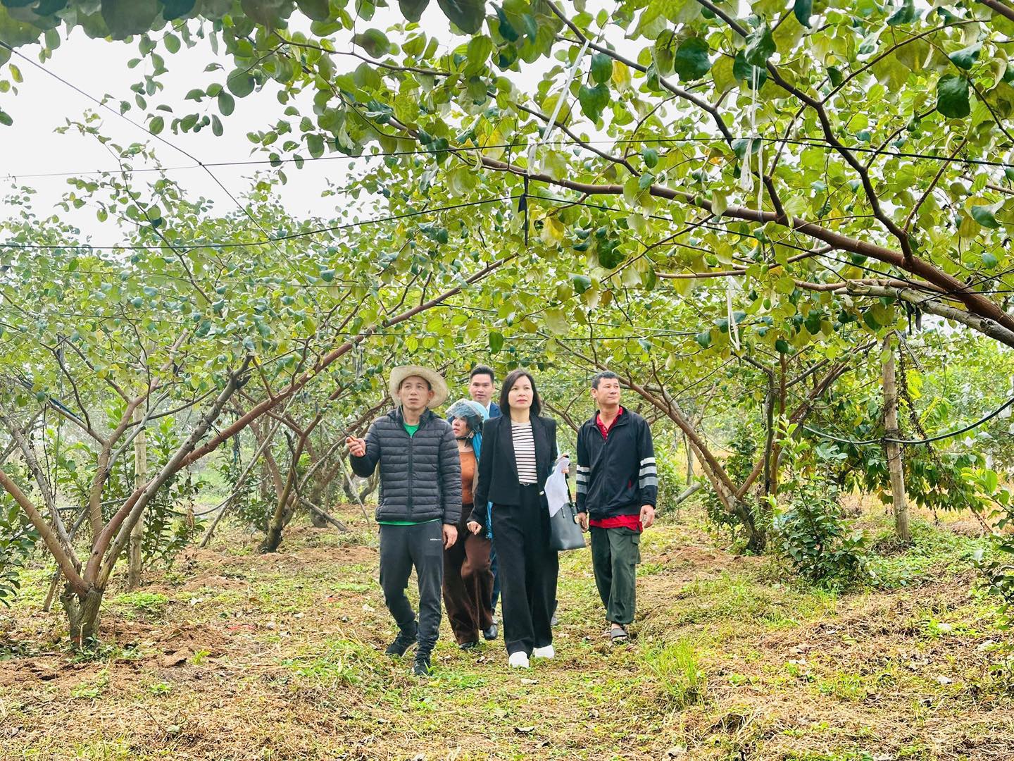 Hoài Đức: Làm mới điểm đến bằng chiến lược số hóa du lịch năm 2026- Ảnh 4.