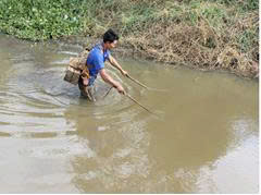 TĂNG CƯỜNG BẢO VỆ VÀ PHÁT TRIỂN NGUỒN LỢI THỦY SẢN TRÊN ĐỊA BÀN XÃ BÌNH BINH- Ảnh 1.